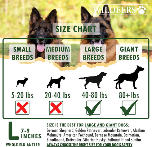 Wildeers Elk Antlers for Dogs Large, 3-Pack, Naturally Shed, Grade A, 7-9 inch Long Lasting Treats for Aggressive