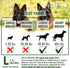 Wildeers Elk Antlers for Dogs Large, 3-Pack, Naturally Shed, Grade A, 7-9 inch Long Lasting Treats for Aggressive