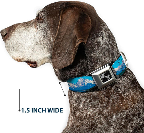 Dog Collar Seatbelt Buckle, 1.5" Wide, Fits 18-32" Neck, Large
