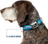 Dog Collar Seatbelt Buckle, 1.5" Wide, Fits 18-32" Neck, Large