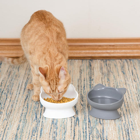 Kitty City Raised Cat Food Bowl Collection, Stress Free Pet Feeder and Waterer, Slow Feed Bowls