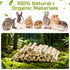 StyEdEk 430g Chinchilla, Natural Sweet Bamboo Chew Toys Chew Sticks Bamboo Sticks Teething Toy for Rabbit, Bunny