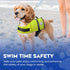 Paws Aboard Dog Life Jacket - Adjustable, Reflective, Comfortable Swim Vest for Dogs, XX-Small to Extra Large (Neon