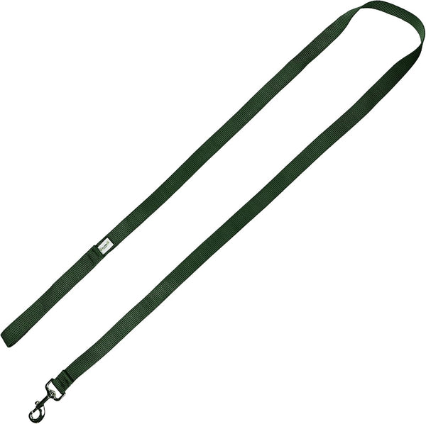 Standard Dog Leash - Colored Heavy Duty Pet Leashes, Made in the USA - 1 Inch x 6 Feet, Forest Green