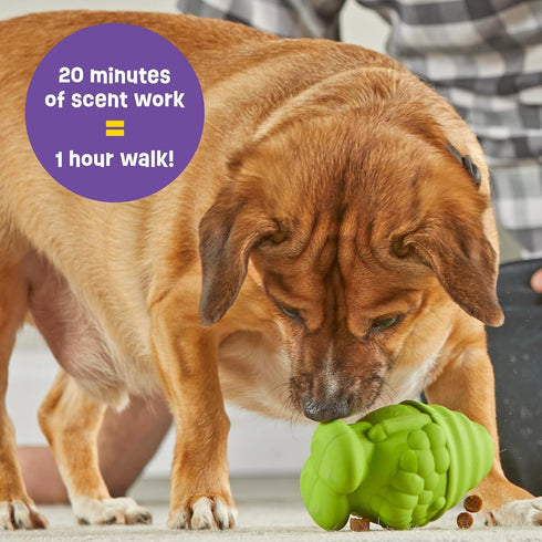 Brightkins Tough & Tumble Treat Dispenser - Small Gnome Interactive Dog Puzzle Toys for All Breeds
