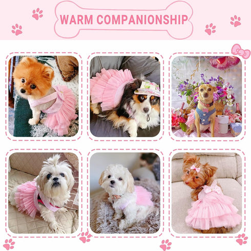 Fashion Pet Dog Clothes, Striped Mesh Puppy Dresses, Small, Pink