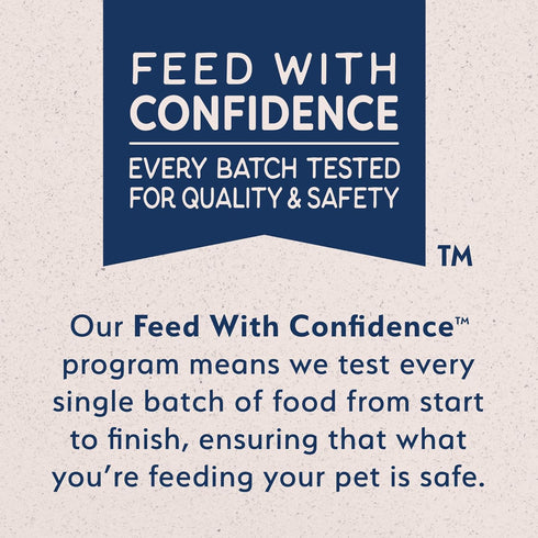 Natural Balance Limited Ingredient Adult Grain-Free Dry Cat Food, Salmon & Green Pea Recipe, 10 Pound (Pack of 1)