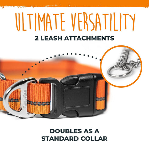 Mighty Paw Martingale Dog Collar 2.0 - Trainer Approved Limited Slip Collar with Heavy Duty Buckle, Large, Orange