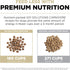 GO! SOLUTIONS Carnivore Grain Free Dog Food, 3.5 lb – Lamb + Wild Boar Recipe – Complete + Balanced Nutrition for All