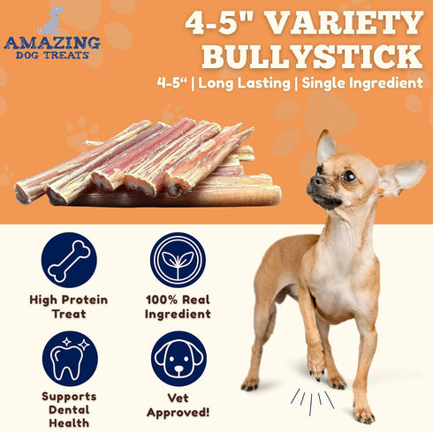 4-6 Inch (1 lb) 100% Amazing Dog Treats - Variety Bully Sticks - Premium Dog Chews - All Natural Rawhide Alternative