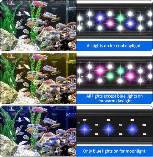 AQUANEAT LED Aquarium Light for 12 to 16 Inch Fish Tank, Auto On Off Timer, Full Spectrum