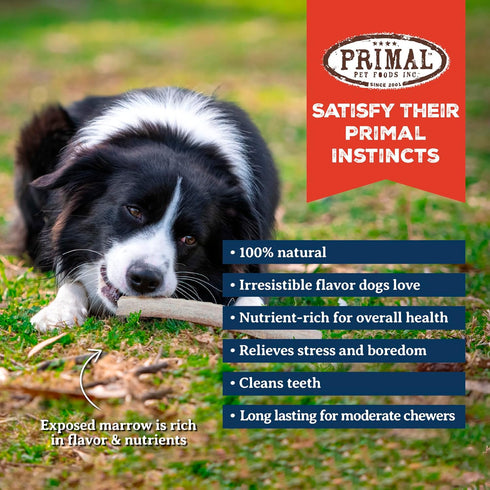 Primal Antlers for Dogs - Grade A Split Elk Antlers for Large Dogs 30-45 lb - Long Lasting Chews