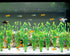 MyLifeUNIT Artificial Seaweed Water Plants for Aquarium - 10 PCS Plastic Fish Tank Plant Decorations (Green)