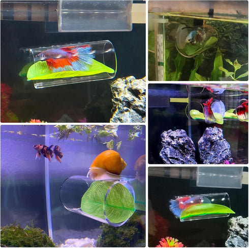 2 Pack Betta Fish Acrylic Tube Tunnel, Leaf Pad Simulating Natural Habitat for Betta Spawning Grounds