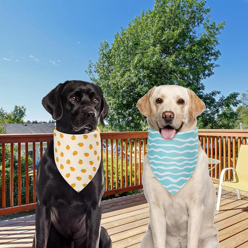Agroon Summer 2PCS, 4 Dog Bandanas XLarge Pattern Blue Pink Yellow Scarf for Boy and Girl, Triangle Reversible Bibs