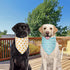 Agroon Summer 2PCS, 4 Dog Bandanas XLarge Pattern Blue Pink Yellow Scarf for Boy and Girl, Triangle Reversible Bibs