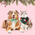 Christmas Adjustable Dog Ties Set - 85 Pcs Includes Bow Tie, Neckties, Flower Bowknot, Bandana, Scarf for Xmas Puppy Cat