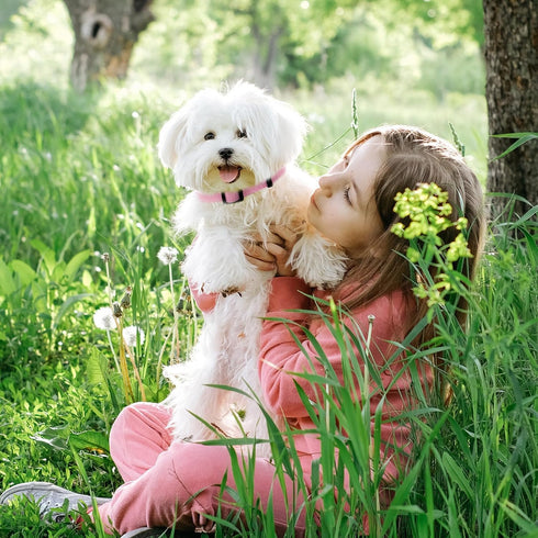 Pink Dog Collar and Leash Set for Medium Dogs, Soft and Breathable, Adjustable with Quick Release Buckle
