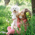 Pink Dog Collar and Leash Set for Medium Dogs, Soft and Breathable, Adjustable with Quick Release Buckle