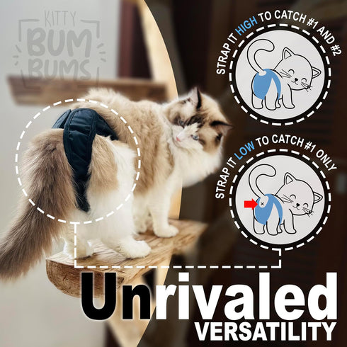 Kitty BumBums (Pack 3) Kitty Bum Bums Reusable Cat Diapers and Stud Pants to Prevent Pee Marking - with Adjustable Tabs