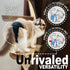Kitty BumBums (Pack 3) Kitty Bum Bums Reusable Cat Diapers and Stud Pants to Prevent Pee Marking - with Adjustable Tabs