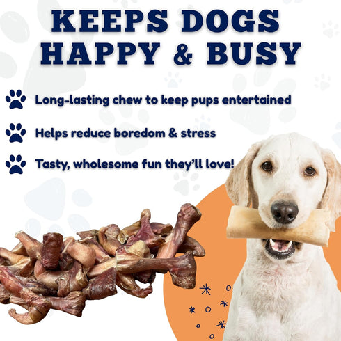 (3 Lb. 100% Amazing Dog Treats - Bully Stick Bites Bag) Premium Dog Chews - Easily Digestible Bully Stick Dog Treat