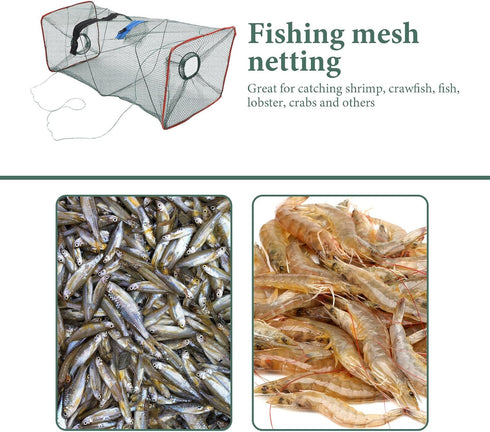 3pcs 50x20x20cm Toyvian Foldable Lobster Trap Shrimp Fishing Net with Spring Frame, Small Mesh Bait Trap for Outdoor