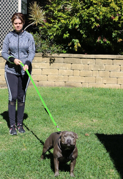Dog Leash 6ft Long, Heavy Duty, Traffic Padded, Reflective Double Handles for Large or Medium Dogs, Green