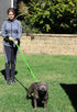 Dog Leash 6ft Long, Heavy Duty, Traffic Padded, Reflective Double Handles for Large or Medium Dogs, Green
