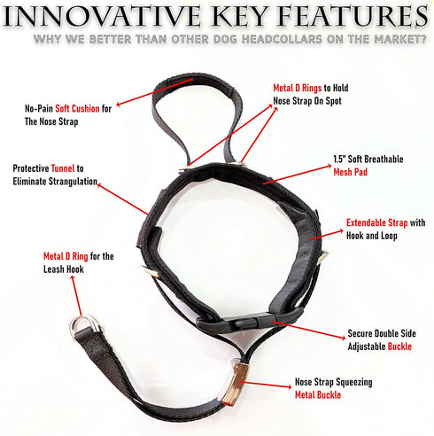 PetsProMax No-Pull Dog Headcollar (Large), Gentle Training Collar for Dogs, Comfortable and Effective Walking Solution