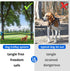 Dog Tie Out Cable for Camping - 50ft/70ft/100ft Reflective Overhead Trolley System for Dogs up to 300lbs