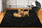 Huge Dog Playpen Mat, 60 in x74 in Dog Crate Mat Extra