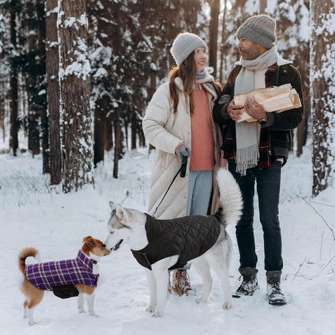 Kuoser Waterproof Dog Coat, Adjustable XL Jacket for Extra Large Dogs, Reversible Cozy Winter Apparel, Purple