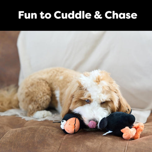 SPOT 14 Chirpies Plush Dog Toy Bird Sound Squeaky Toy for Small and Medium Dogs, Light to Moderate Chewers, Stretchy