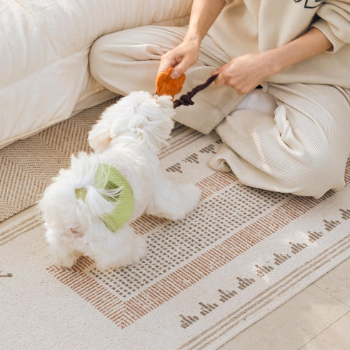 100ct (100 Count)) WICKEDPUP Dog Diaper Liners Booster Pads for Male and Female Dogs, | Disposable Diaper Inserts fit
