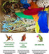 SUAIOLOAQ Natural Bird Foraging Toys, Interactive Chew Toys, Perfect for Parakeets, Cockatiels, Conures, Sun Conures