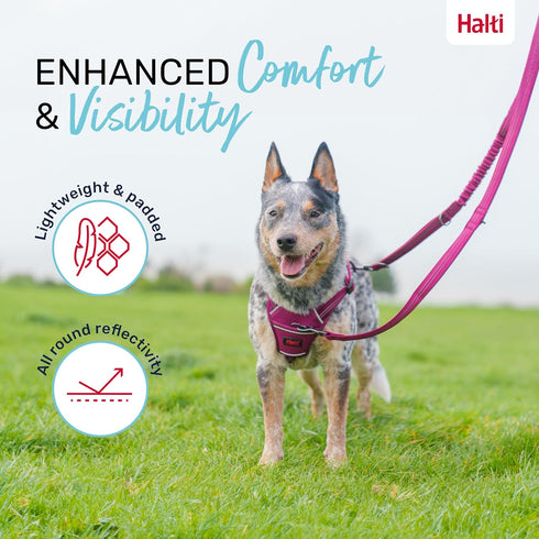 HALTI Anatomy Multifunctional Dog Leash - Shock Absorbing Double-Ended Leash, Ideal for Walking & Training, Size Small,