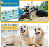 PETCARE Spiked Dog Collar, Blue Soft PU Leather, Funny Mushrooms Rivet Spike Studded Adjustable Outdoor Pet Collar for
