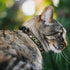 Cat Collar Breakaway Loki Poses in Black Gold Green, 8 to 12 Inches, 0.5 Inch Wide, Model: BAC-WAV037-NM