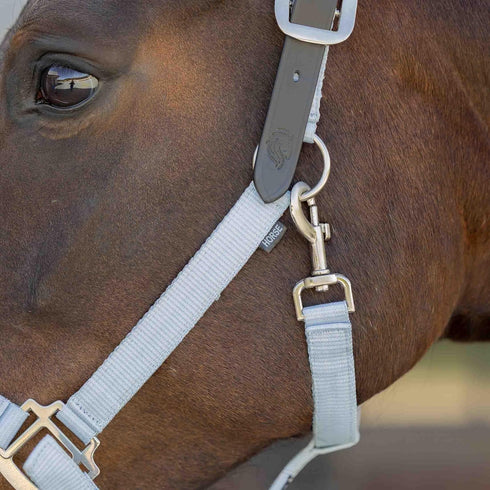 Equinavia Loki Adjustable Breakaway Horse Halter - Sweet Blue - Pony