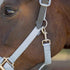 Equinavia Loki Adjustable Breakaway Horse Halter - Sweet Blue - Pony