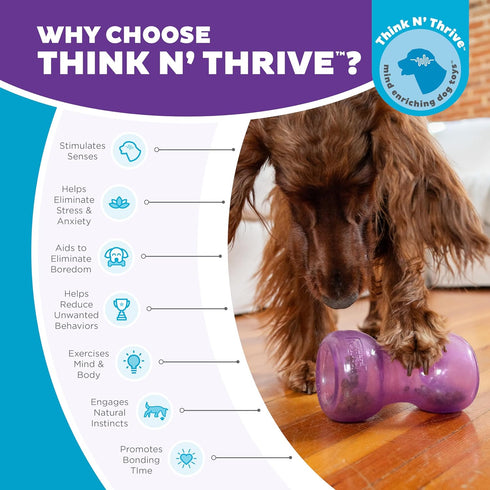 Outward Hound Double Snoop Interactive Treat Stuffer Durable Dog Toy in Purple