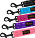 Didog Dog Walking Leash - 4 FT Black with Soft Flannel Padded Handle, Reflective Night Safety for Small Medium Dogs