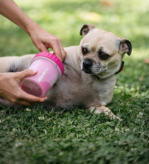 Dexas Dog Paw Cleaner - Small, Pink, Dog Accessories and Pet Supplies