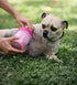 Dexas Dog Paw Cleaner - Small, Pink, Dog Accessories and Pet Supplies