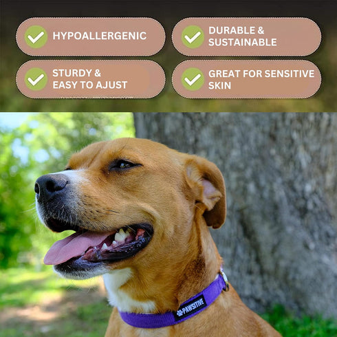 Hemp Dog Collar, Hypoallergenic Padded Adjustable Collar for Small, Medium, and Large Dogs, Small Red
