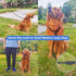 Strong Slip Lead Dog Leash, 4FT / 6FT Durable Nylon No Pull Training Leash for Small Medium Large Dogs