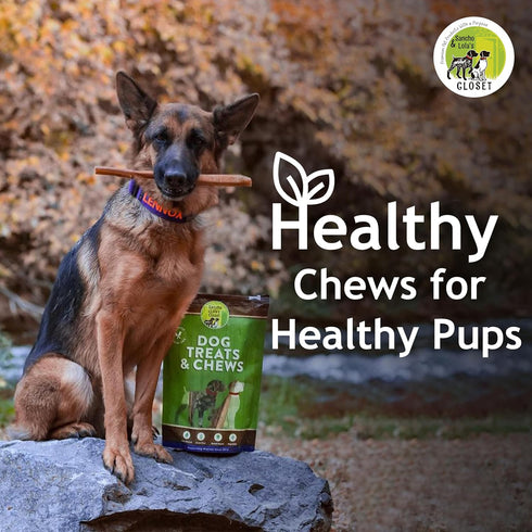 12-inch (5 Pack) Supreme Standard Bully Sticks by Sancho and Lolas All-Natural, Long-Lasting Dog Chew Treats