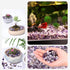 Amethyst Crystal Chips Bulk Polished Tumbled Crushed Stones Aquarium Gravel Rocks with Pink Quartz Bracelets,Decorative Fish Tank Succulent Plants Vase Filler Fountain Potted (1lb 500+Pcs)
