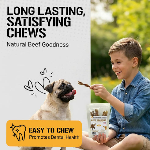 7-9 inch, 6 Dog Chits Beef Tendons for Dogs & Puppies - High Protein, Low Fat - All Natural Beef Tendon Chew - Chewy